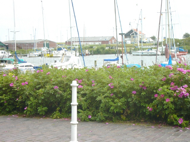 Yachthafen in Carolinensiel - Harlesiel
